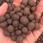 Matters needing attention when purchasing clay pebbles/ leca
